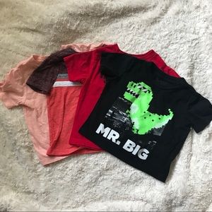 EUC- Lot of 4 Baby Boy T-Shirts - Size 18-24M